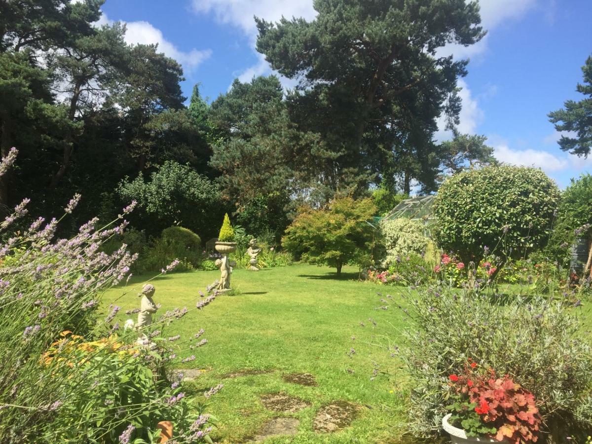 Heatherdene House Corfe Mullen Dış mekan fotoğraf